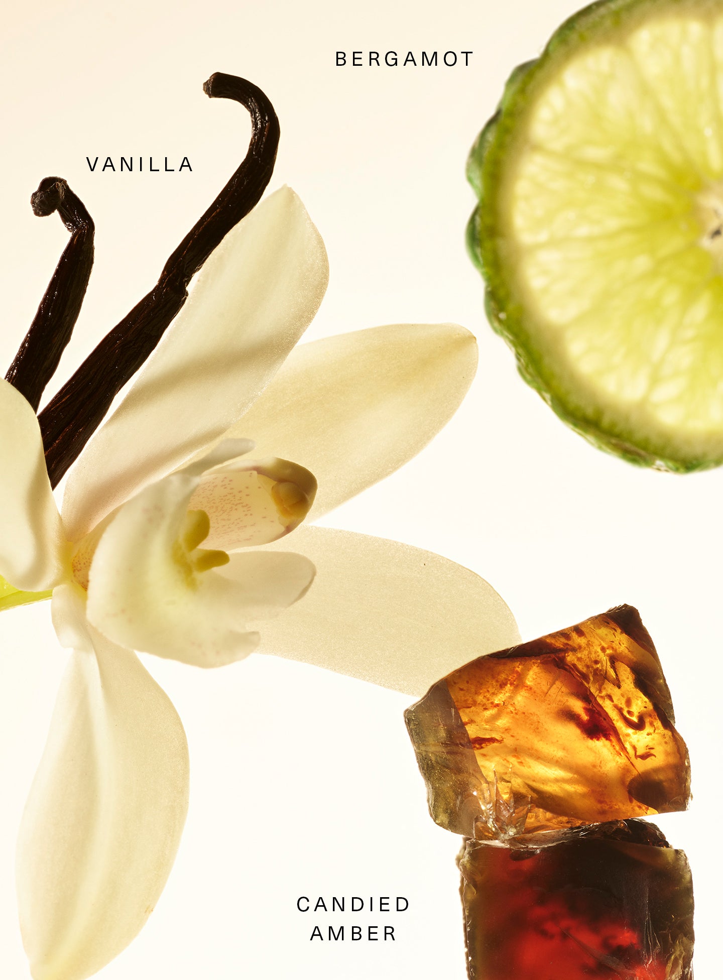 fragrance layering balm amber vanilla fragrance layering balm amber vanilla