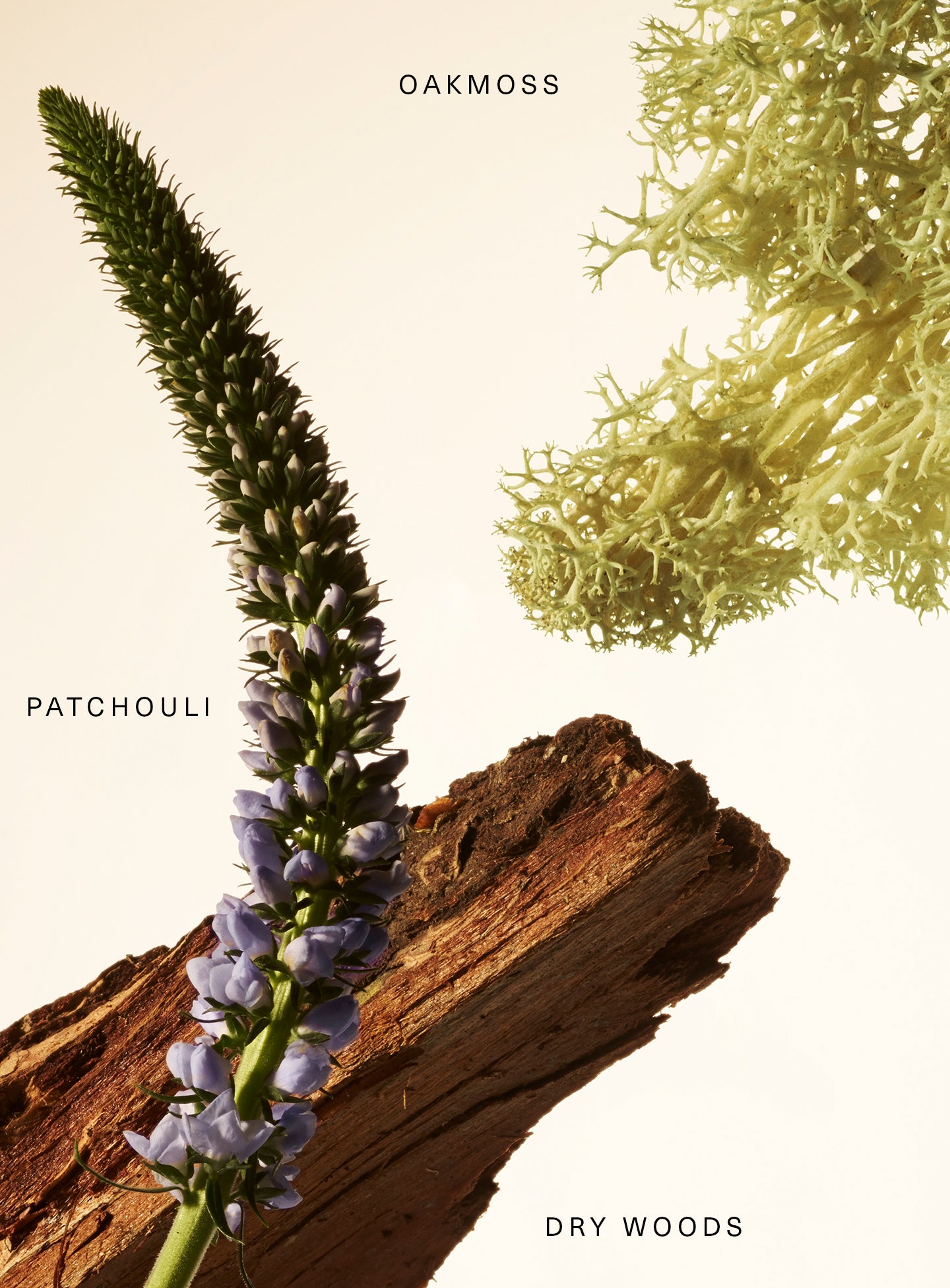 fragrance layering balm woody oak fragrance layering balm woody oak