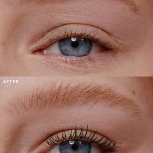 mascara & brow gel duo